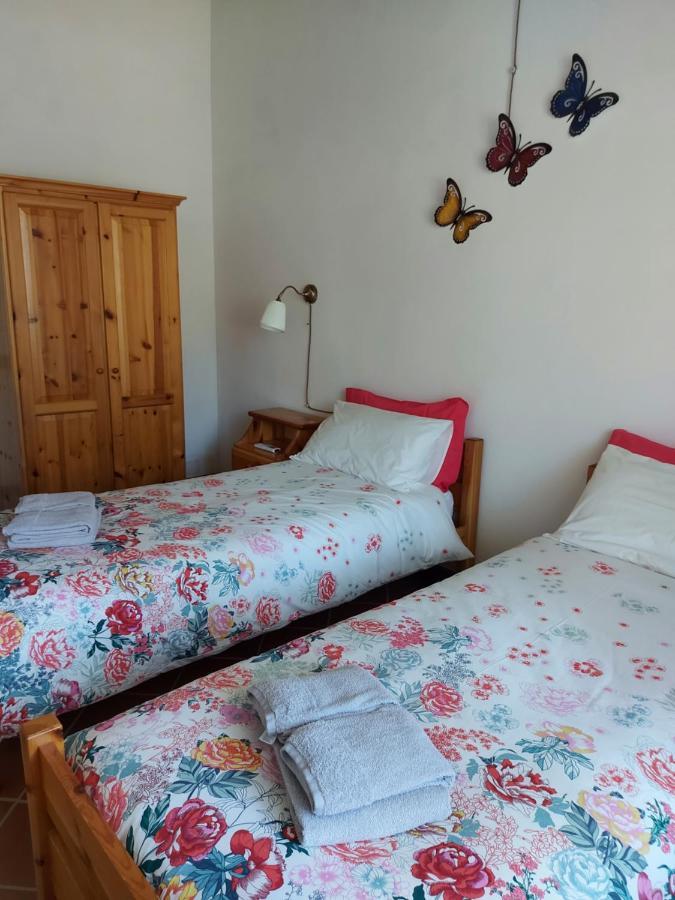 Agriturismo Capannacce 圣奎里科 外观 照片